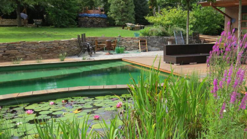 Natural swimming pools and ponds are making a splash in the UK and European market Natural swimming pools and ponds are making a splash in the UK and European market