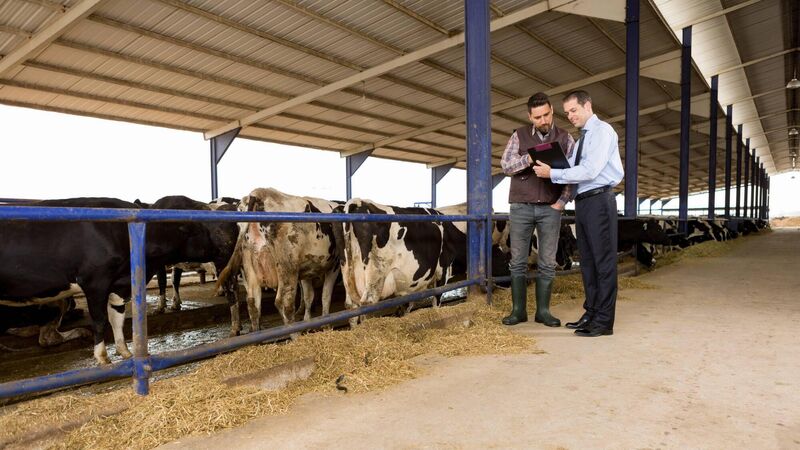 Tax reliefs for farm succession Tax reliefs for farm succession
